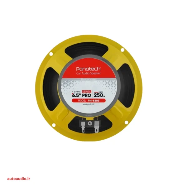 Panatech M-6503 میدرنج بسته 2 عددی