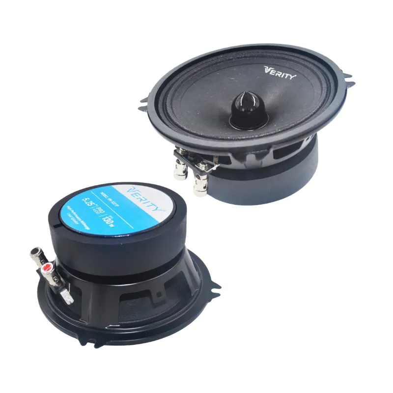 وریتی VERITY VM-5221P